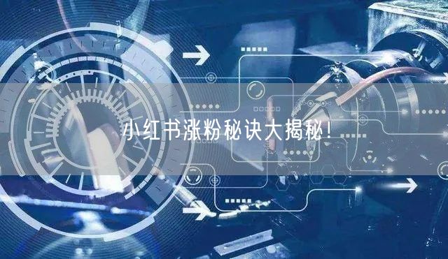 小红书涨粉秘诀大揭秘！