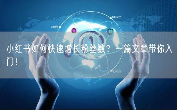 小红书如何快速增长粉丝数？一篇文章带你入门！