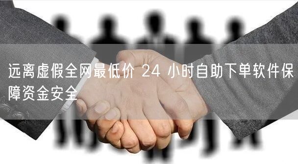 远离虚假全网最低价 24 小时自助下单软件保障资金安全
