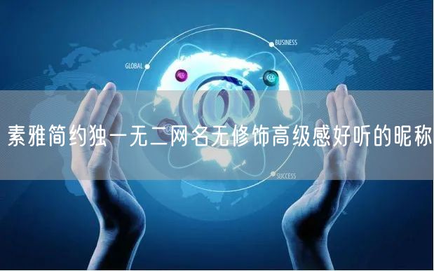 素雅简约独一无二网名无修饰高级感好听的昵称