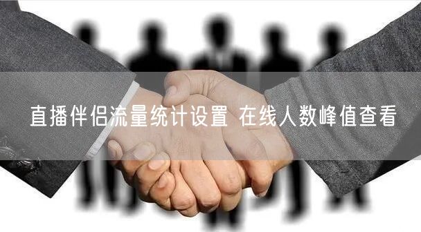 直播伴侣流量统计设置 在线人数峰值查看