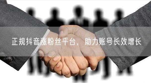 正规抖音涨粉丝平台，助力账号长效增长