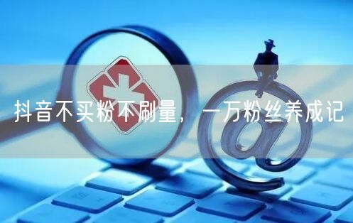 抖音不买粉不刷量，一万粉丝养成记