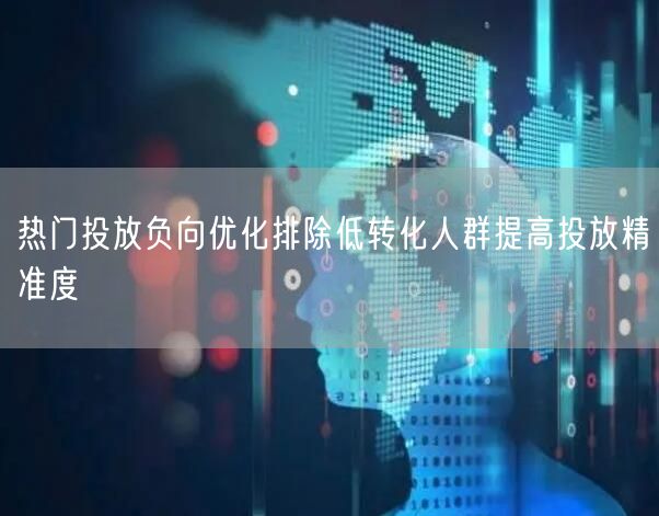 热门投放负向优化排除低转化人群提高投放精准度