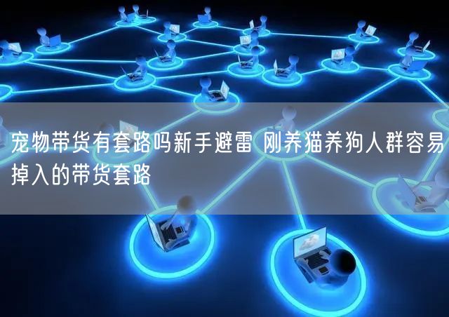 宠物带货有套路吗新手避雷 刚养猫养狗人群容易掉入的带货套路