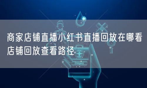 商家店铺直播小红书直播回放在哪看店铺回放查看路径