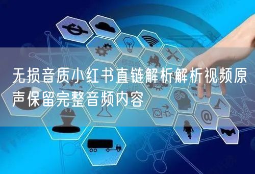无损音质小红书直链解析解析视频原声保留完整音频内容
