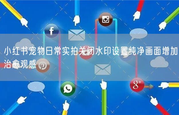 小红书宠物日常实拍关闭水印设置纯净画面增加治愈观感