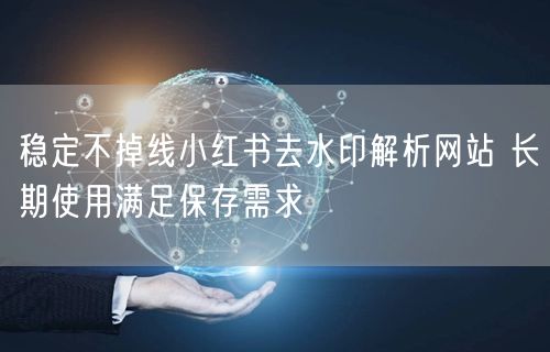 稳定不掉线小红书去水印解析网站 长期使用满足保存需求
