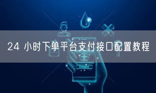 24 小时下单平台支付接口配置教程