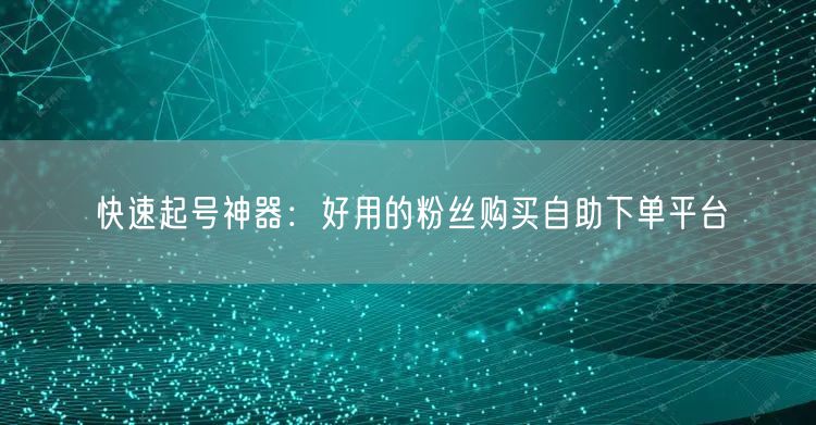 快速起号神器：好用的粉丝购买自助下单平台