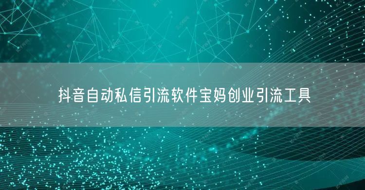 抖音自动私信引流软件宝妈创业引流工具