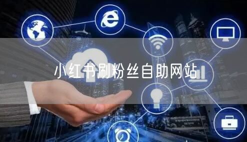 小红书刷粉丝自助网站