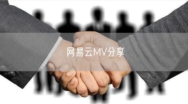 网易云MV分享