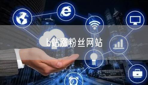 b站涨粉丝网站