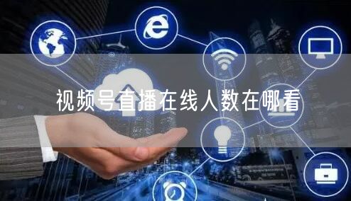 视频号直播在线人数在哪看
