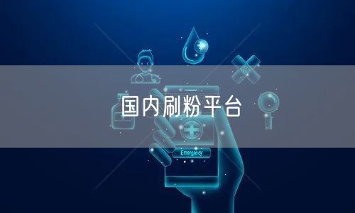 国内刷粉平台