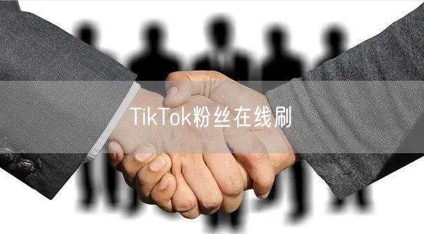 TikTok粉丝在线刷