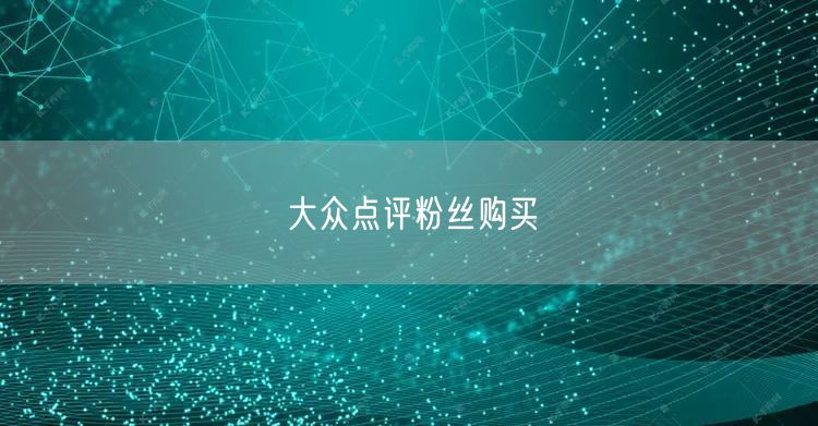 大众点评粉丝购买