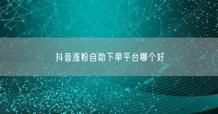 抖音涨粉自助下单平台哪个好