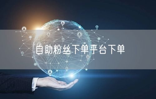 自助粉丝下单平台下单