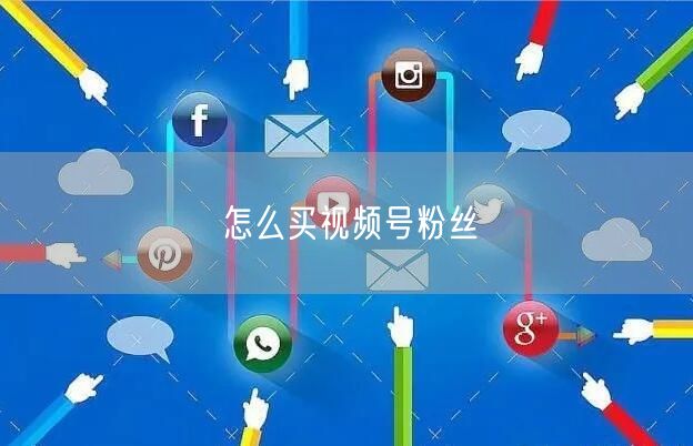 怎么买视频号粉丝