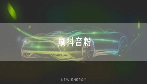 刷抖音粉