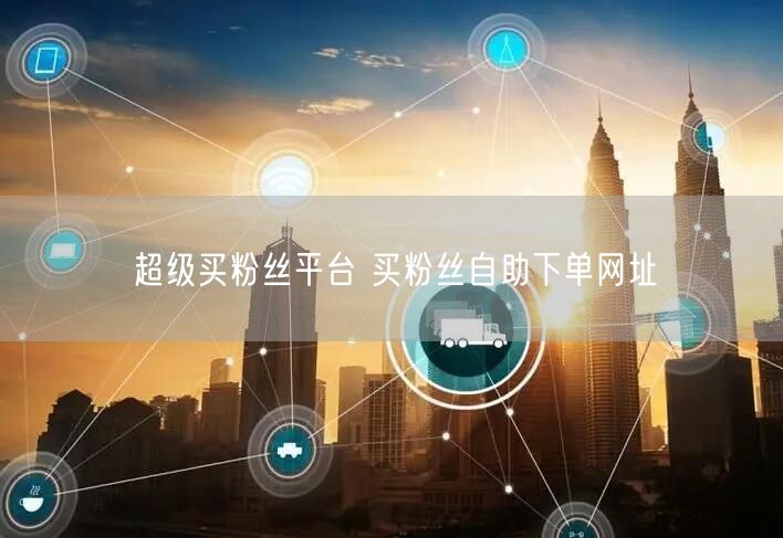 超级买粉丝平台 买粉丝自助下单网址