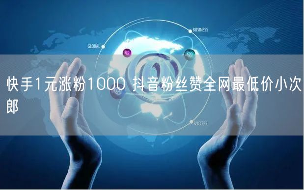 快手1元涨粉1000 抖音粉丝赞全网最低价小次郎