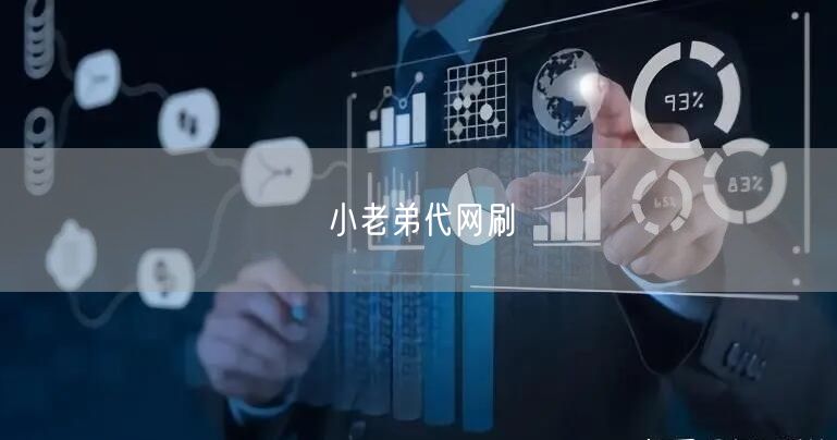 小老弟代网刷