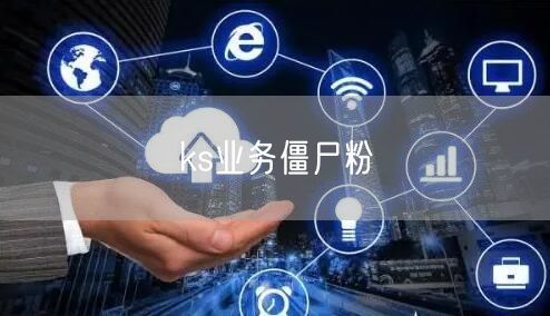 ks业务僵尸粉