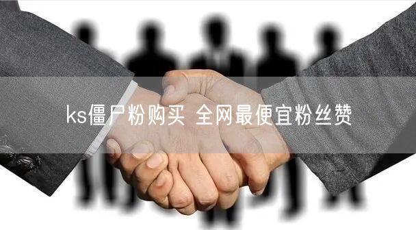 ks僵尸粉购买 全网最便宜粉丝赞
