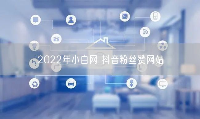 2022年小白网 抖音粉丝赞网站