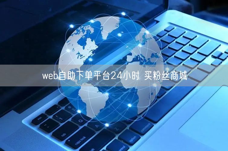 web自助下单平台24小时 买粉丝商城