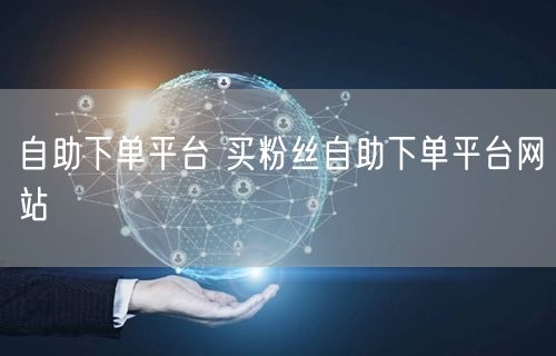 自助下单平台 买粉丝自助下单平台网站