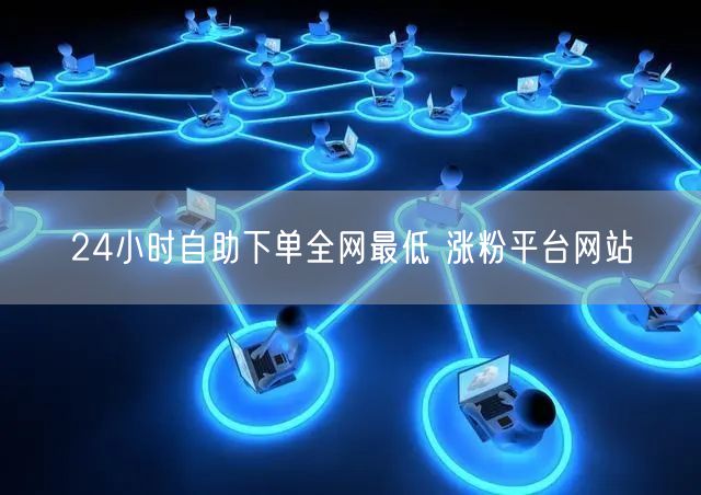 24小时自助下单全网最低 涨粉平台网站