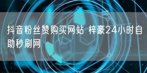 抖音粉丝赞购买网站 梓豪24小时自助秒刷网