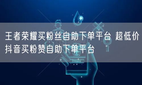 王者荣耀买粉丝自助下单平台 超低价抖音买粉赞自助下单平台