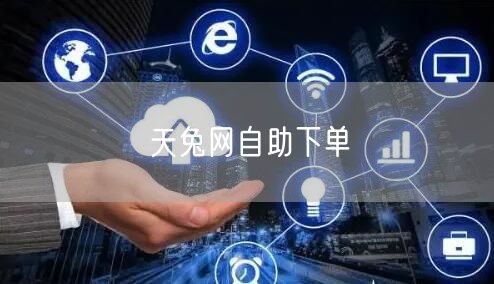 天兔网自助下单