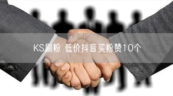 KS刷粉 低价抖音买粉赞10个