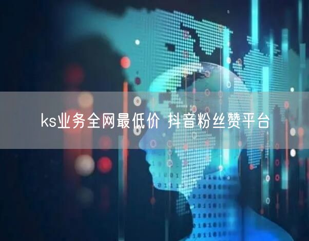 ks业务全网最低价 抖音粉丝赞平台