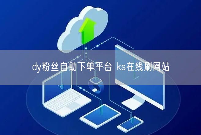 dy粉丝自助下单平台 ks在线刷网站