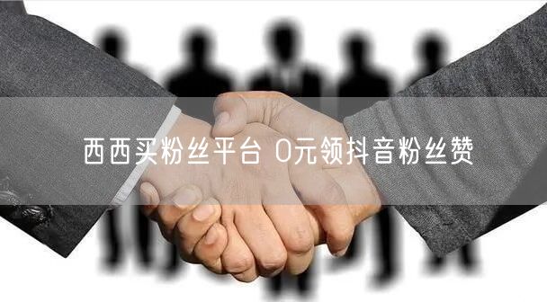 西西买粉丝平台 0元领抖音粉丝赞