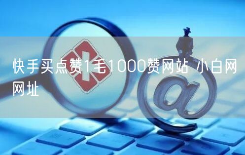 快手买点赞1毛1000赞网站 小白网网址