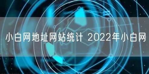 小白网地址网站统计 2022年小白网