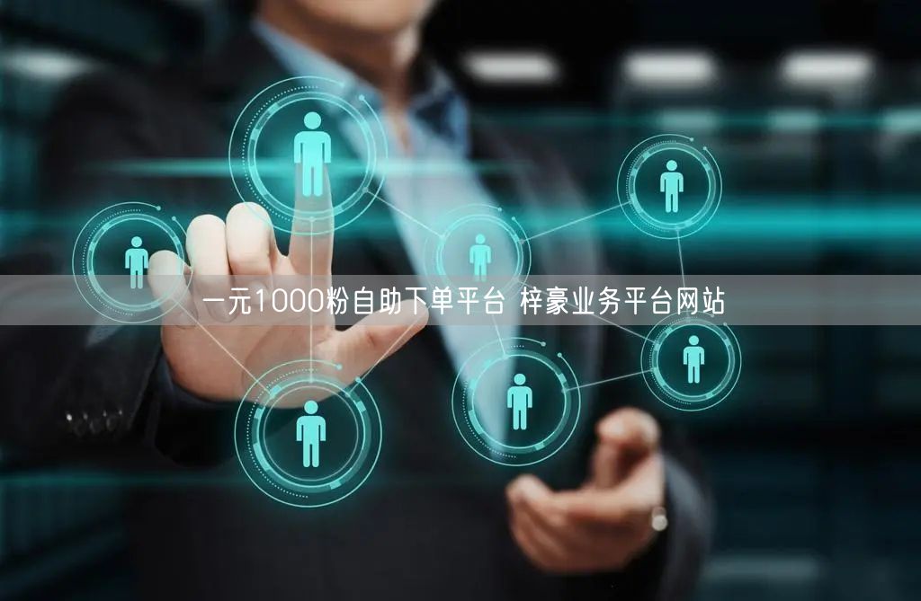 一元1000粉自助下单平台 梓豪业务平台网站