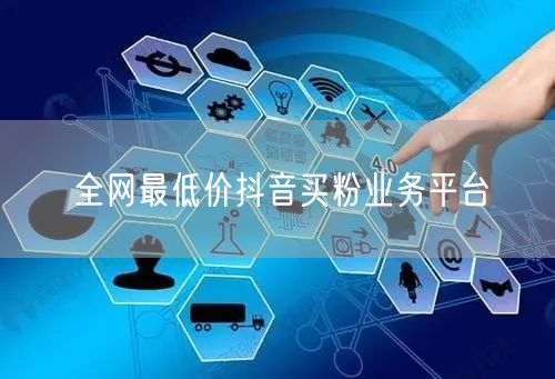 全网最低价抖音买粉业务平台