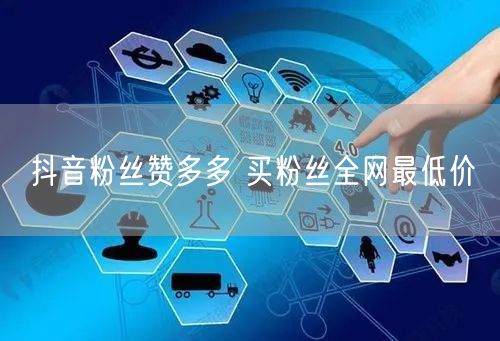 抖音粉丝赞多多 买粉丝全网最低价